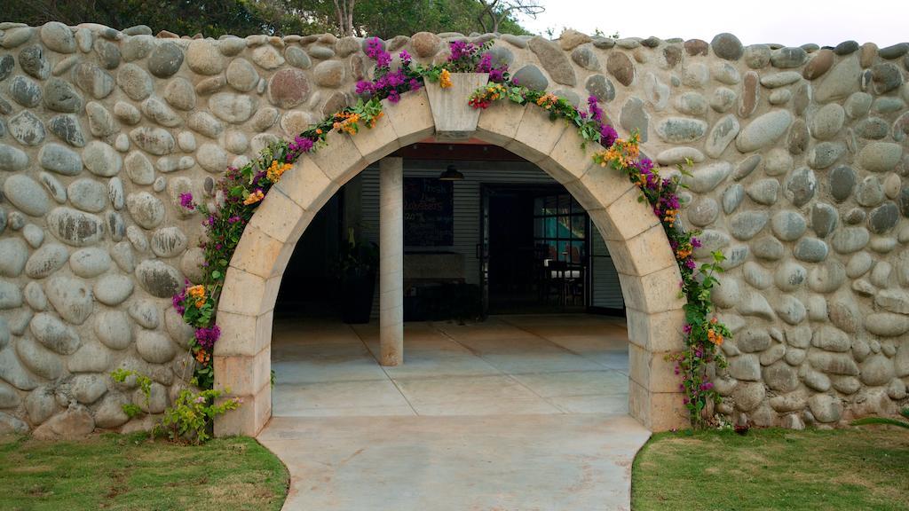 Pagua Bay House - Oceanfront Cabana'S Marigot ภายนอก รูปภาพ