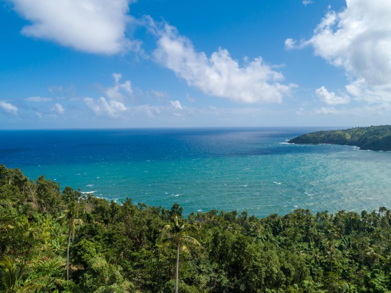 Pagua Bay House - Oceanfront Cabana'S Marigot ภายนอก รูปภาพ