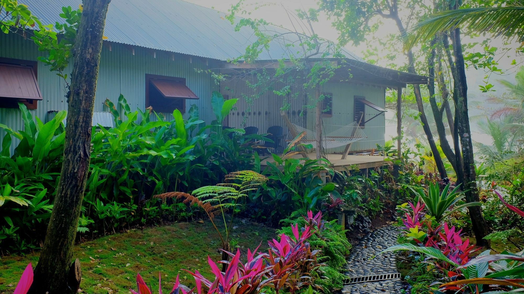 Pagua Bay House - Oceanfront Cabana'S Marigot ภายนอก รูปภาพ